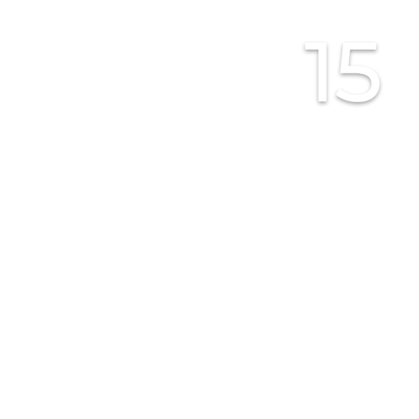 Tür 15
